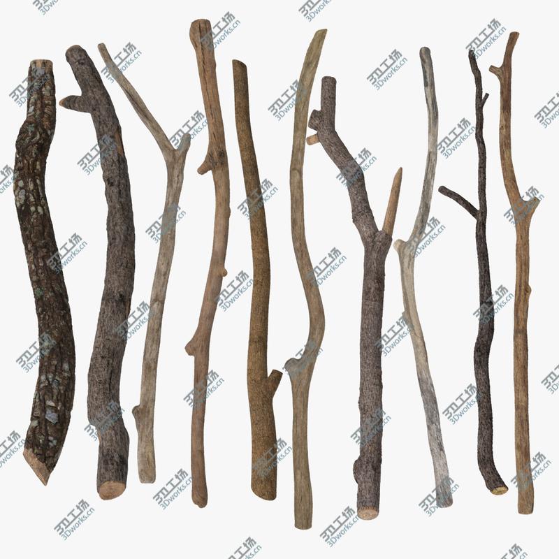 images/goods_img/202105071/Twigs and Sticks/1.jpg